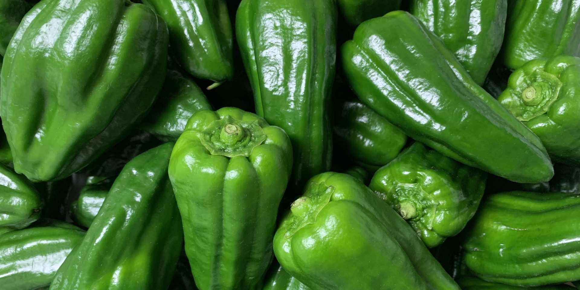 ピーマンの写真