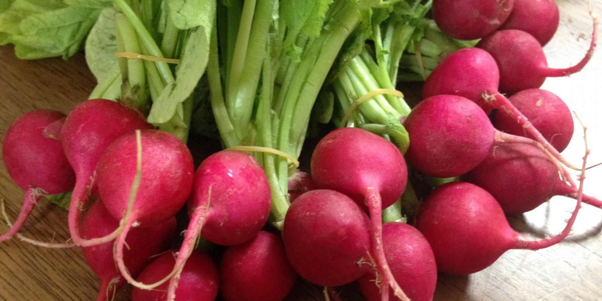 ラディッシュの写真