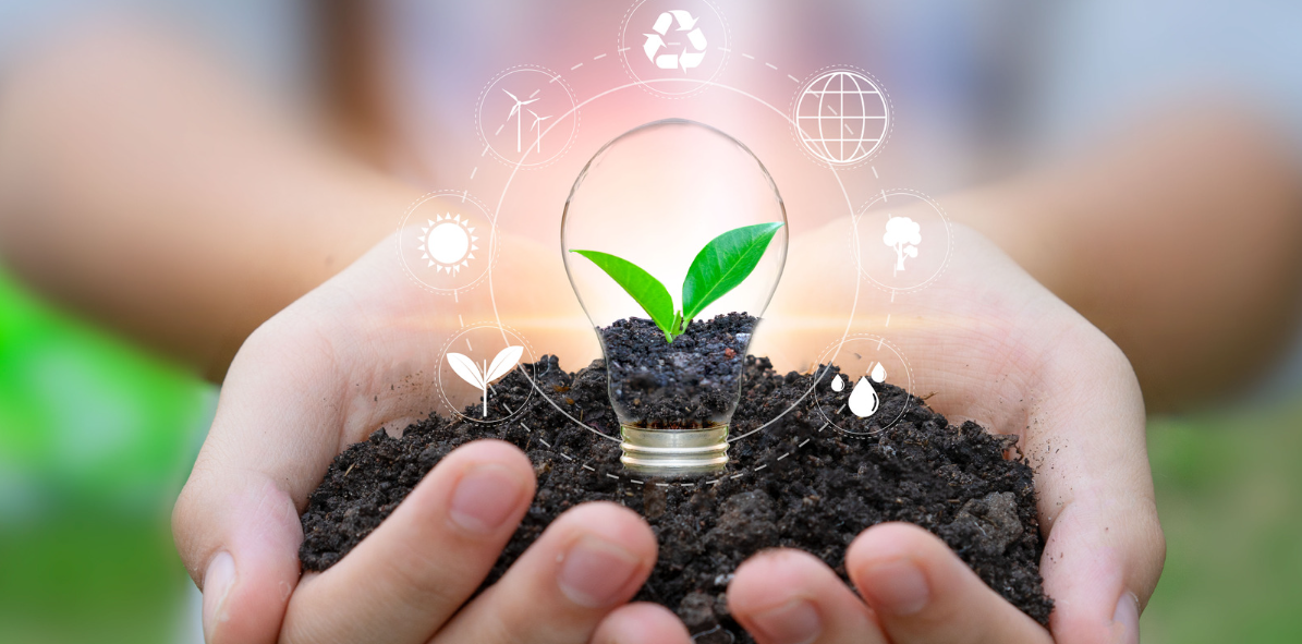 心を込めた栽培